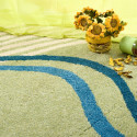 DIY Carpet Cleaning tips from the pros
